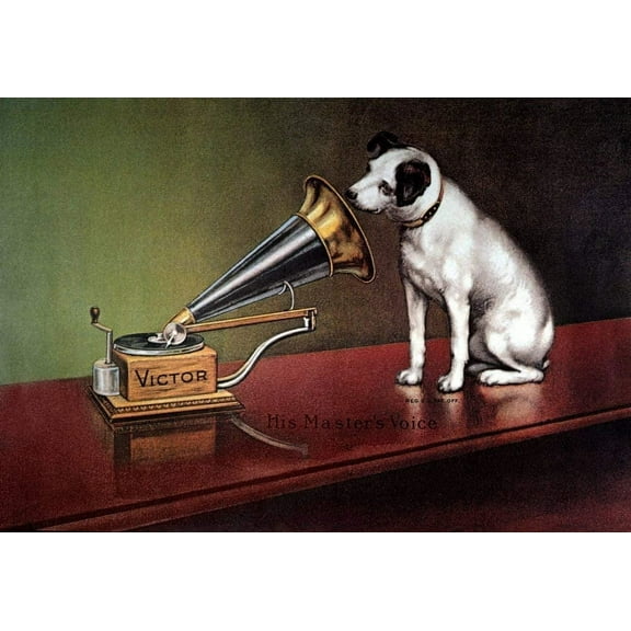 Tin Sign Vintage Chic Art Decoration Poster RCA Dog for Home Bar Cafe Farm Store Garage or Club 12" X 8"