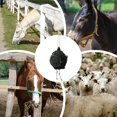 thumbnail image 5 of Bola de heno para caballos, ideal para el consumo lento de alimento. Alivia el aburrimiento y el estrés. Ideal para evitar el aburrimiento., 5 of 5