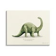 thumbnail image 4 of Stupell Green Brontosaurus Dinosaur Pronunciation Animals & Insects Painting Gallery Wrapped Canvas Print Wall Art, 4 of 5