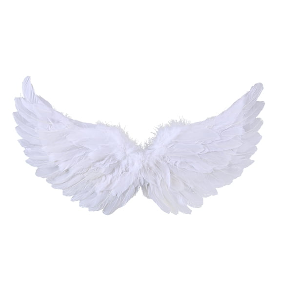 Cjfdfy Feather Wings, Fairy Wings, Stage Show Adult Halloween Costume Angel Wings with Crown and Wand Princess Party Cosplay