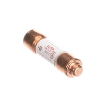 Salvajor 994095 Fuse 1 Amp 208-230V