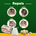 thumbnail image 2 of 72 Balls RodentRepellent, Peppermint Oil Moth Ball to Repel Mice and Rats, MouseRepellent, MiceRepellent, RatRepellent, RodentRepellent for Cars,Garden, Indoor Use, 2 of 8