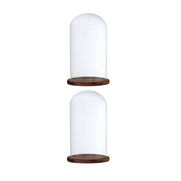 Cubierta de vidrio transparente 2x Perfecl con base de madera Tamaño G 12x22cm