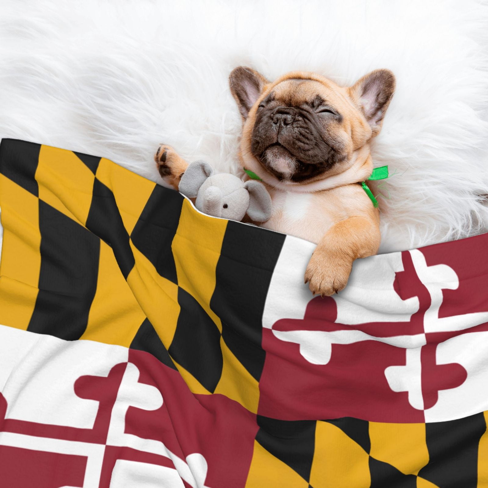 Maryland-Flag Dog Blanket Soft Warm Flannel Cat Blanket Great Pet Throw for Cats Puppy Small Medium Large Dog