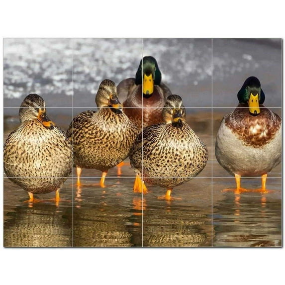 Bird Ceramic Tile Mural Kitchen Backsplash Bathroom Shower 402086-M43