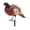 Pheasant 1, variant on Diceymbol Pheasant Garden Stake Wildlife Bird Decor for Yard Patio Lawn 8.5 Inch