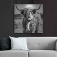 thumbnail image 6 of Luxe Metal Art 'Fluffy Cow' by Epic Portfolio Metal Wall Art, 36"x36", 6 of 9