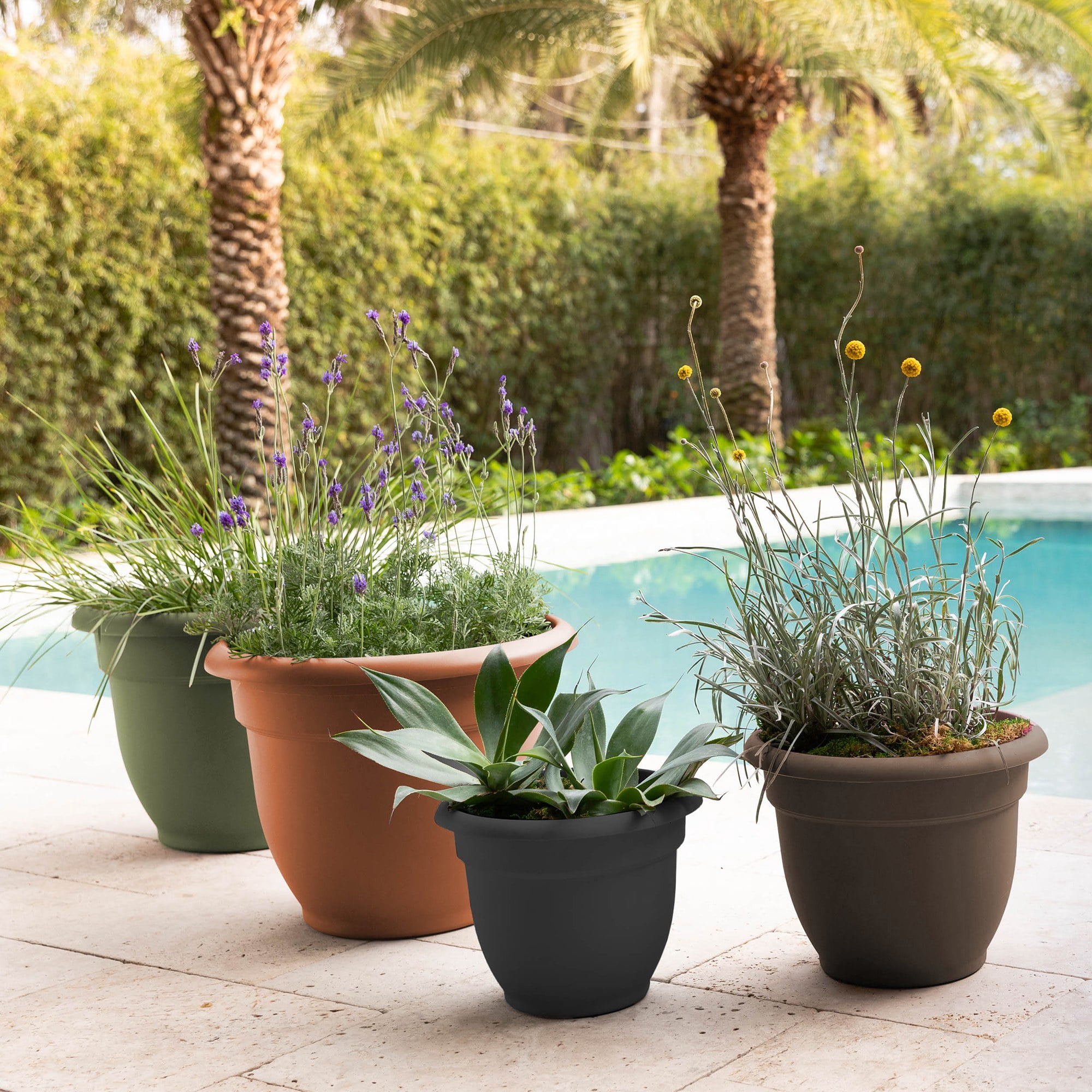 Bloem Ariana Pot Planter: 16" - Chocolate - Durable Resin Pot, For Indoor and Outdoor Use, Gardening, Self Watering Disk Included, 6 Gallon Capacity