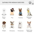 thumbnail image 4 of Bike Trailer Cargo Cart for Dogs and Pets, 4 of 11
