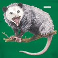 thumbnail image 3 of CafePress - Opossum Possum Animal Women's Dark T Shirt - Women's Traditional Fit Dark T-Shirt, 3 of 4