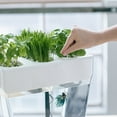 thumbnail image 4 of Back to the Roots 3 Gal. Self-Cleaning Aquaponic Water Garden Fish Tank Aquarium, 4 of 6