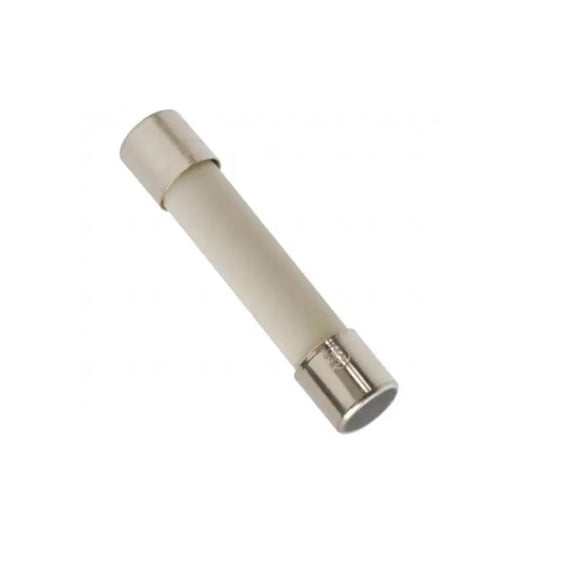EXP20A Ceramic Line Fuse, Slow Blow, 20A