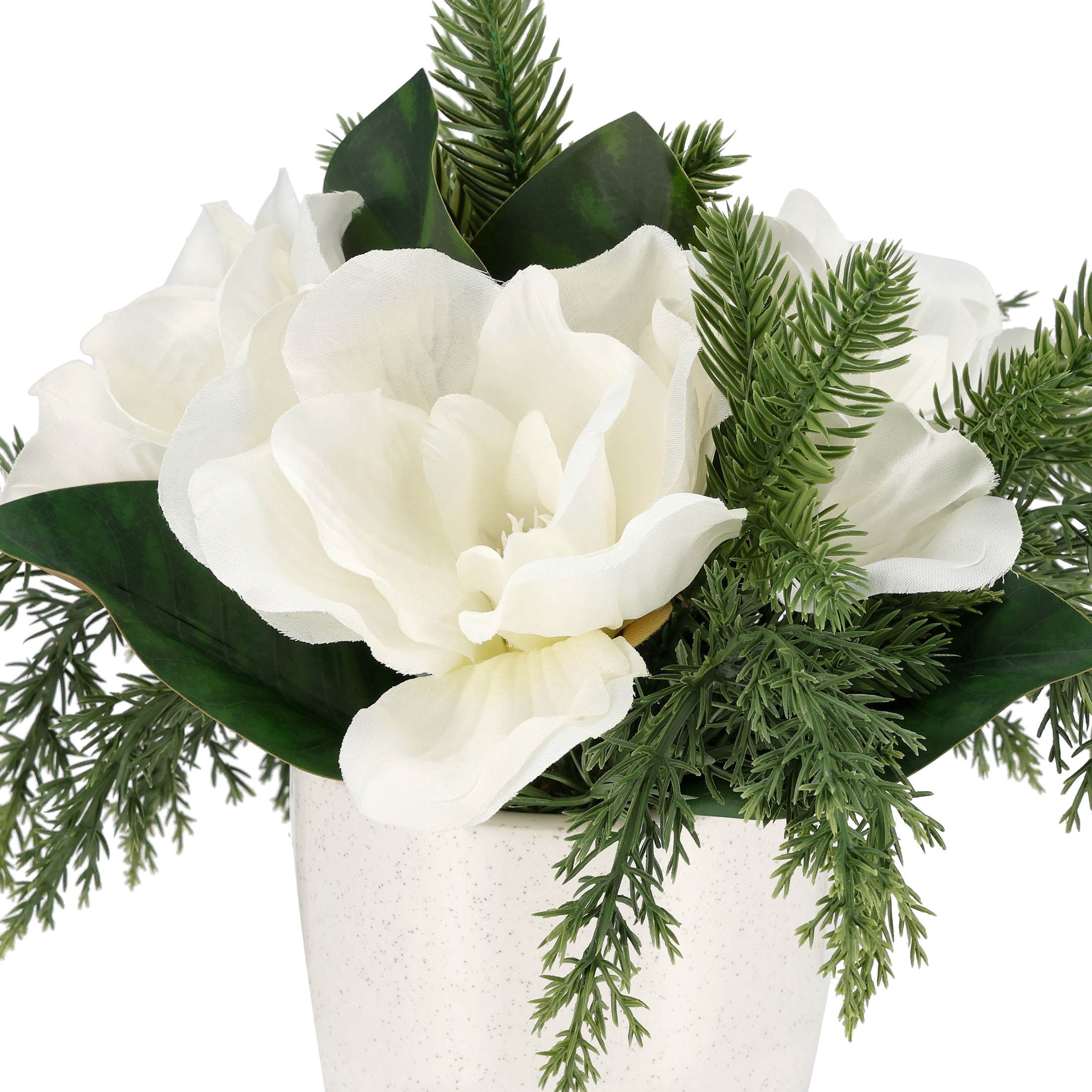 My Texas House Evergreen and Magnolia Christmas Arrangement in Pot, Green and White, 12"