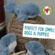 thumbnail image 4 of Juguete de Peluche para Perro HuggleHounds Mobie Ballenas Paquete de 3 Pequeñas, 4 of 7