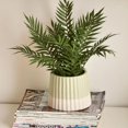 thumbnail image 2 of Bouclair Light Beige Artificial Fern in Ceramic Pot, 2 of 4