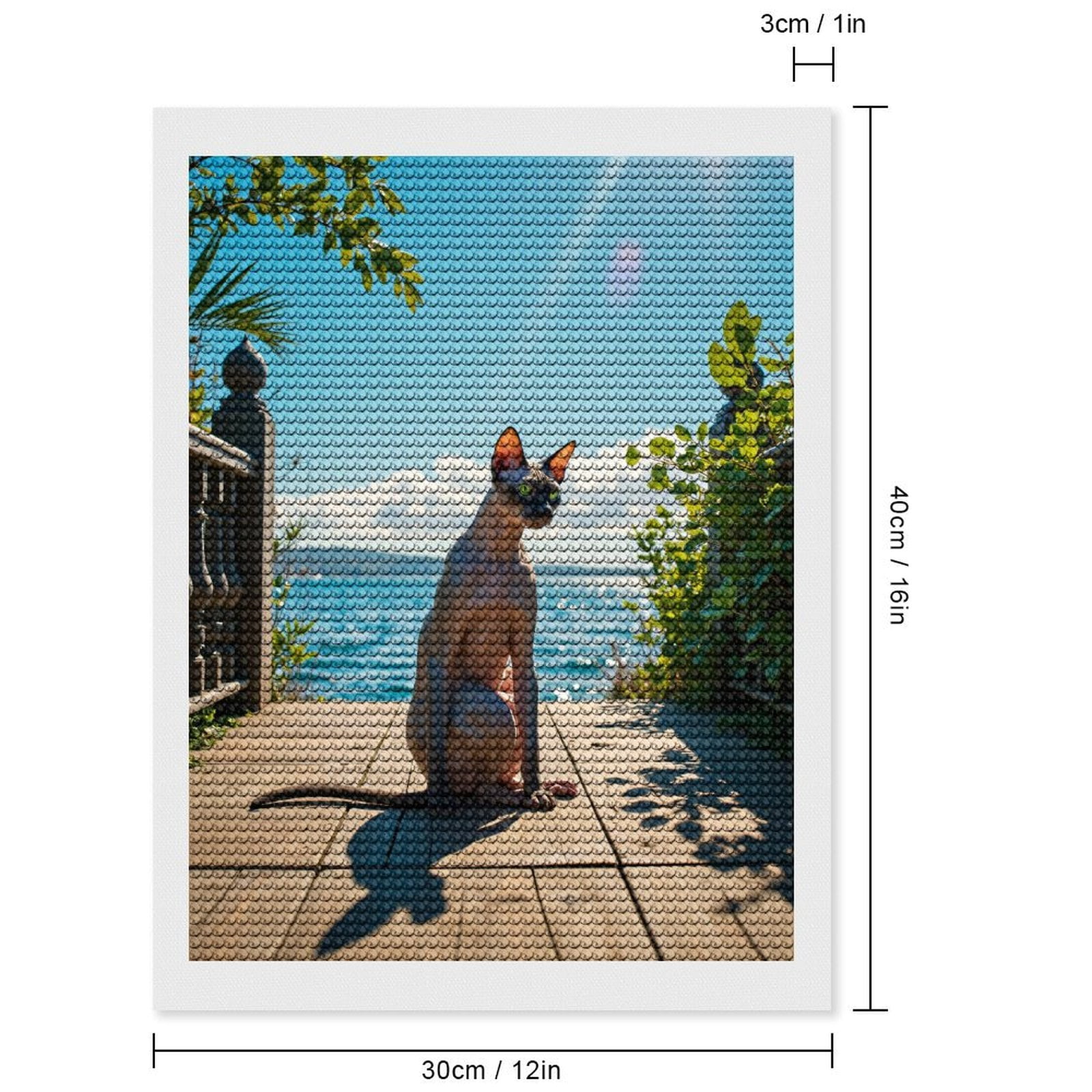 Diamond Art Kits for Adults, Cat Sunlit Deck Ocean View 5D Diamond Painting Kits for Adults Beginners, DIY Full Drill Diamond Painting, Gem Art and Crafts 12x16