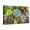 Canvas, variant on Art.com Rectangular Arrangement of Succulents; Cactus Succulents in a Planter Stretched Canvas Print Wall Art, 18" x 12"