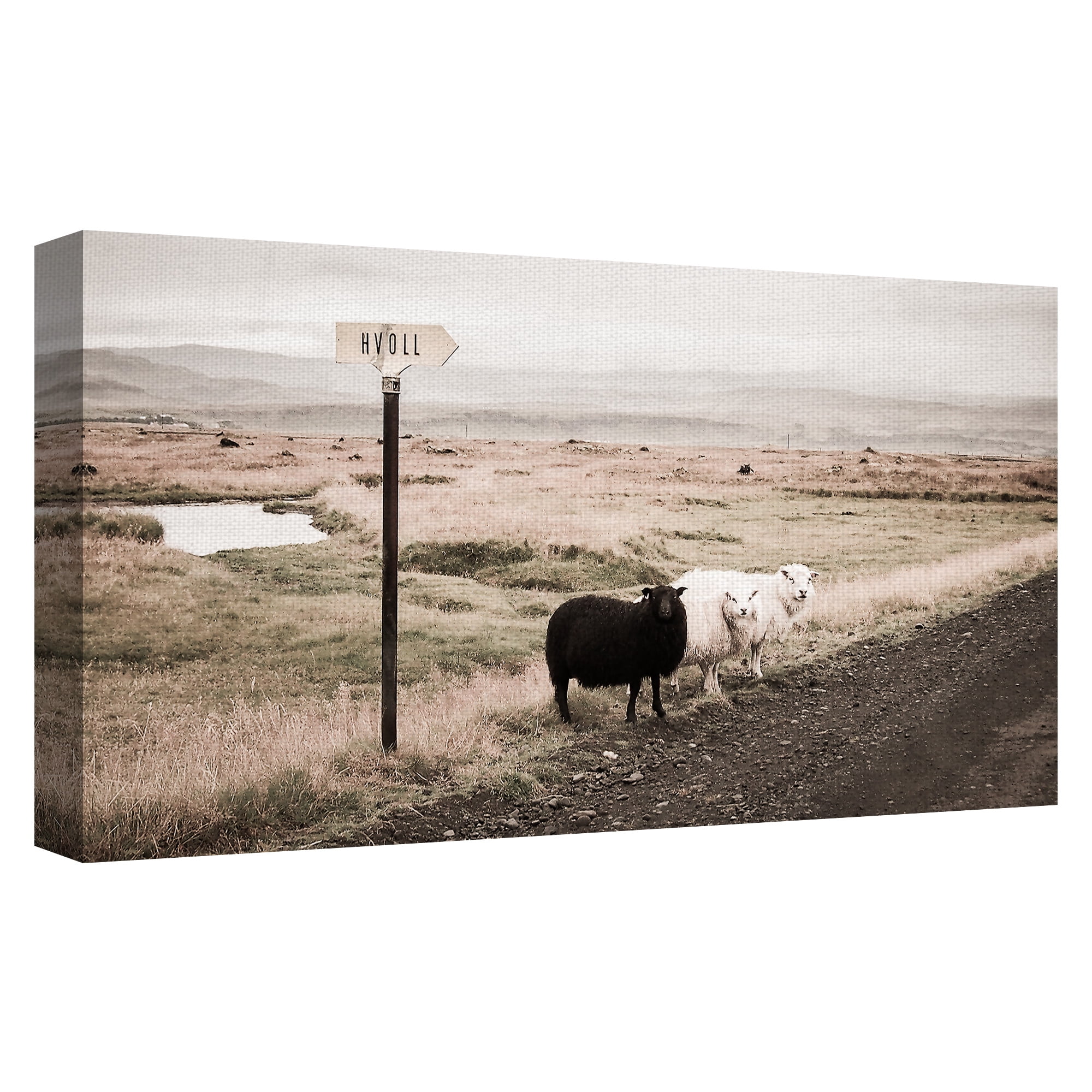 Masterpiece Art Gallery Black Sheep on the Roadside by Topich Canvas Art Print 24" x 48"