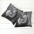thumbnail image 6 of Ambesonne Grey Throw Pillow Cover 2 Pack, Mother and, 20", Charcoal Grey Pale Grey, 6 of 7
