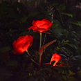 thumbnail image 1 of Luces solares de flores LED con forma de rosa, luces decorativas para exteriores, luces de estaca para jardín, jarrón para tumba, decoración de flores, rojo-rojo- brillar Electrónica, 1 of 5
