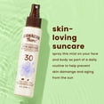 thumbnail image 6 of Hawaiian Tropic Skin Defense Sunscreen Mist, Travel Size, SPF 30, 3.4 oz, 6 of 9