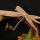 thumbnail image 4 of Pumpkin Wreath Pumpkin Berry Autumn Maple Leaf Door Wall Wreath Ornament Garland Halloween Thanksgiving Day Fall Window Decorations with A Bell, 4 of 5