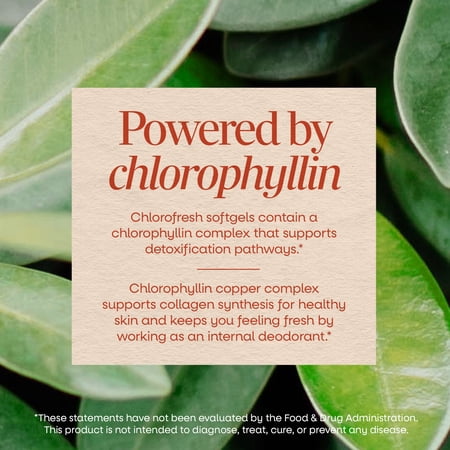 ネイチャーズウェイ クロロフレッシュ 50mg ソフトジェル 90粒 Nature's Way Chlorofresh サプリ グリーンフード