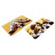 thumbnail image 1 of Funda de almohada de tiro Patrón de alfombra de perros lindos impreso 23X16 pulgadas Baoblaze Kits de enganche de alfombras, 1 of 8