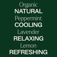 thumbnail image 4 of Plant Therapy Top 3 Organic Singles Set 10 mL (1/3 oz) Lemon, Lavender & Peppermint 100% Pure, Undiluted, Natural Aromatherapy, 4 of 8