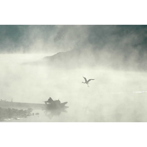 Guernsey Mist II Wall Decal