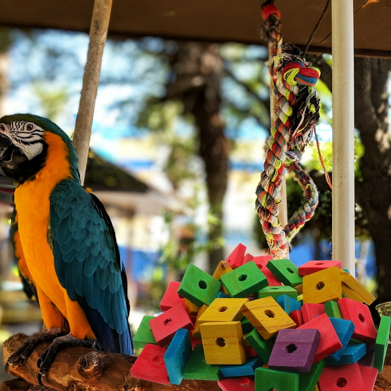 100 Pcs DIY Wood Chips Small Bird Toys Wooden Playset Pet