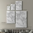 thumbnail image 4 of Botanical Sketch II Premium Gallery Wrapped Canvas - Ready to Hang, 4 of 9