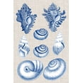 thumbnail image 2 of Vision Studio  13x18 Gold Ornate Wood Framed with Double Matting Museum Art Print Titled - Navy and Linen Shells IV, 2 of 4
