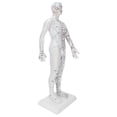 thumbnail image 4 of Modelo de acupuntura masculina para enseñar los meridianos de acupuntura con juego de agujas de acupuntura de base., 4 of 14