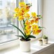 thumbnail image 4 of News Butterflys Orchid Artificial Flower Pot Plants Decoration For Home And Office Interiors, 4 of 7