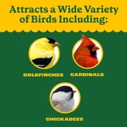 Pennington Classic Dry Wild Bird Feed and Wild Bird Seed, 10 lb. Bag, 1 Pack