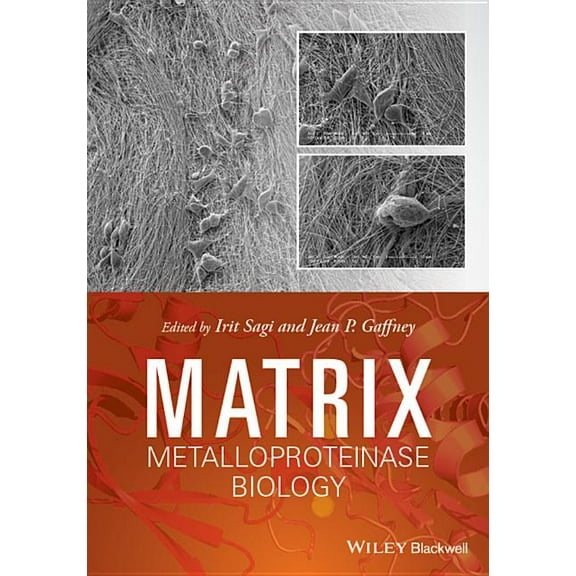 Matrix Metalloproteinase Biology (Hardcover)