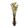 thumbnail image 2 of Bergamo Art Bundle of 4 Bunch Dried Bunny Tails Grass-20-24" in Natural, 2 of 4