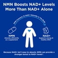 thumbnail image 3 of GNC Preventive Nutrition NMN, 150 mg, NAD+ Booster Supplement for Cellular Energy & DNA Repair, Anti-Aging Support, 60 Capsules, Gluten Free, 60 servings (Pack of 1), 3 of 5