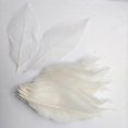 thumbnail image 4 of 200 Pieces Natural Magnolia Skeleton Leaf Scrapbooking White, 4 of 5