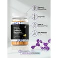 thumbnail image 5 of Probiotic Gummies | 60 Count | For Women and Men | Tropical Flavor | by Horbaach, 5 of 8