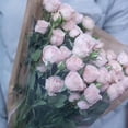 thumbnail image 3 of Coofit 50 Pcs Sac d'Emballage de Fleurs Transparent Rétro Sac d'Emballage de Bouquet, 3 of 10