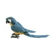 thumbnail image 5 of Modelo de loro artificial, accesorios de jardín de hadas, adorno de loro de simulación para Azul, 5 of 9