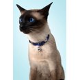thumbnail image 2 of Adjustable Printed Cat Collar (Blue/Paisley), 2 of 3