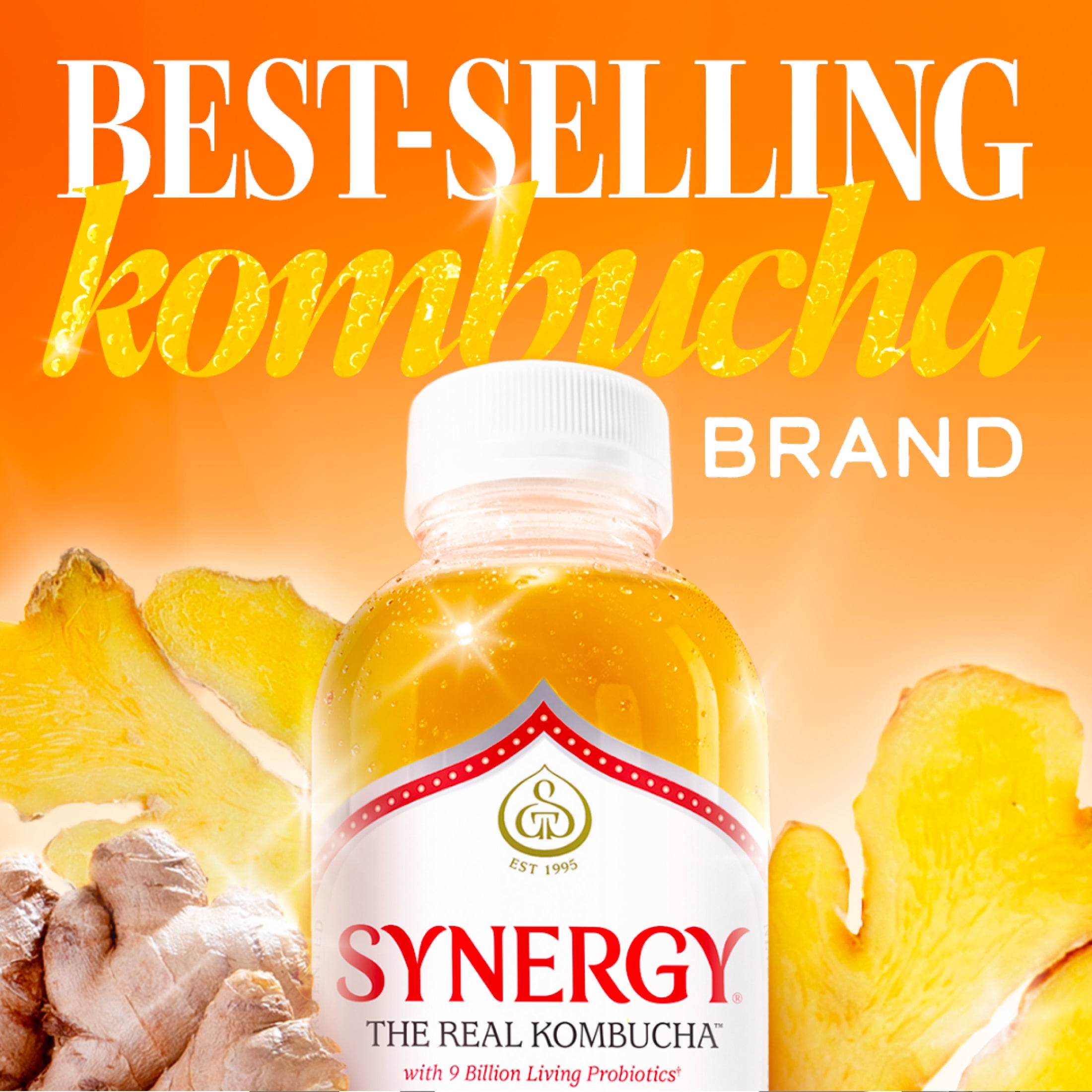 GT's Synergy Gingerade Kombucha 16 fl oz