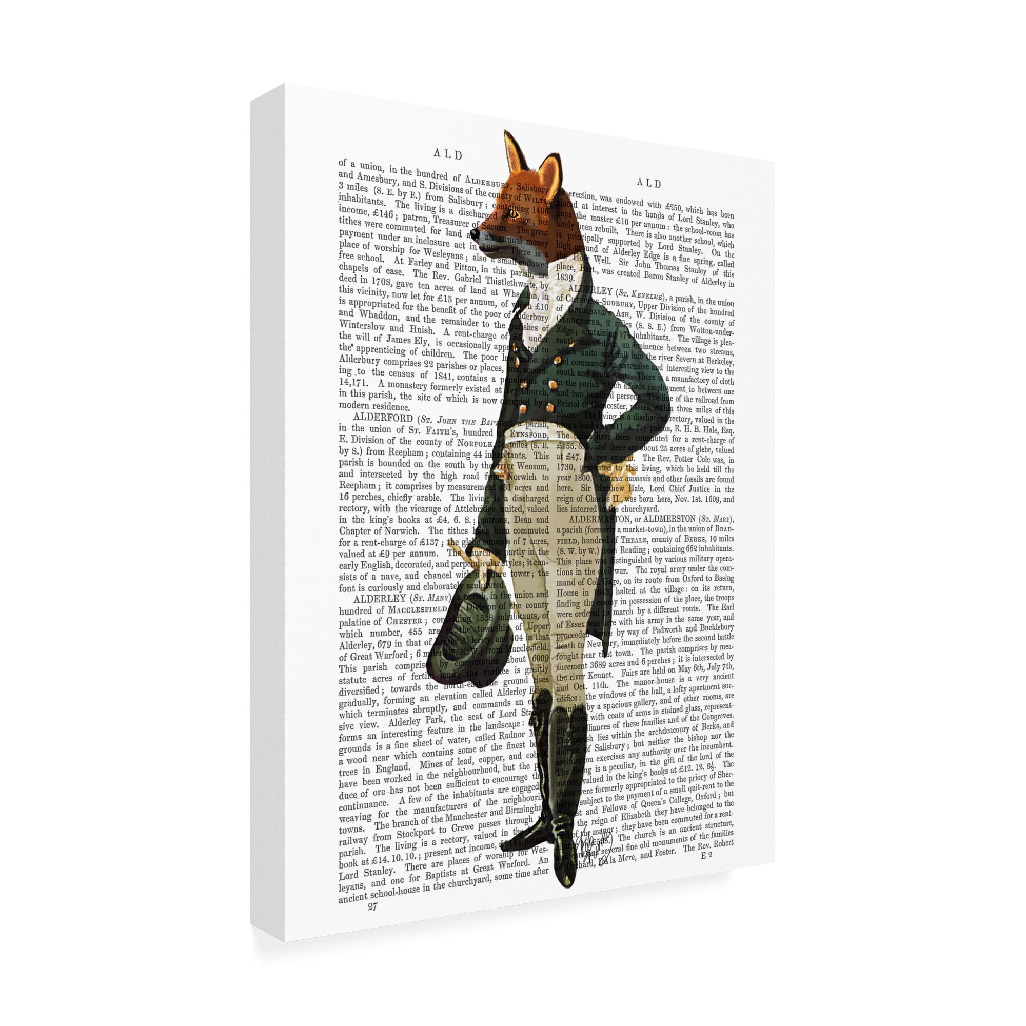 Trademark Fine Art 'Dandy Fox, Full' Canvas Art by Fab Funky