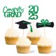 thumbnail image 1 of Decoración de graduación de clase de 2025, decoración para cupcakes, decoración de tartas de doble cara para suministros de fiesta de graduación, decoraciones de graduación para fiesta de graduados 20, 1 of 1