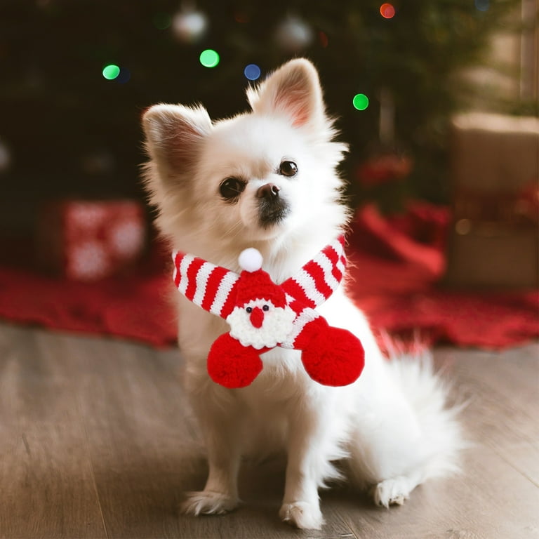 CQCYD under $5 Dog Christmas Scarf Pet Puppy Xmas Knitted Costume