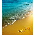thumbnail image 3 of Starfish Duvet Cover Set, Summer Season Sunset Scenery Shoreline Sand Waves Calm Tranquil Island Paradise, Decorative 3 Piece Bedding Set with 2 Pillow Shams, King Size, Multicolor, by Ambesonne, 3 of 3
