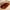 Coffee, variant on COM1950s Area Rugs for Living Room Super Soft Faux Sheepskin Area Rugs for Bedroom Floor Carpet Faux Rug Bedside Rugs Super Soft Area Rugs Area Rug for Living Room